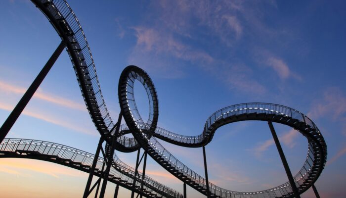 Riding the 2025 RollerCoaster - MDL Group
